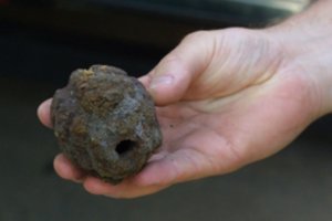 Bulviakasis Radviliškio r.: vyras radęs granatą ją parsinešė namo – policijai teko evakuoti žmones