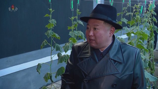 Šiaurės Korėjoje žengtas žingsnis sveikesnės gyvensenos link: vietoje raketų paleidimo aikštės – šiltnamis