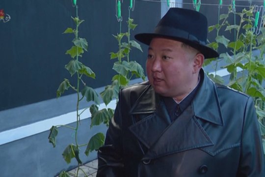 Šiaurės Korėjoje žengtas žingsnis sveikesnės gyvensenos link: vietoje raketų paleidimo aikštės – šiltnamis