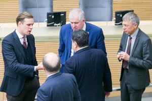 Konservatorių partijoje bręstant konfliktui, ekspertai žiūri giliau: įtakos dalybos ar asmeninės nuoskaudos?