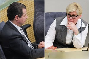 Seimo etikos sargai patarė A. Gedvilui atsiprašyti I. Šimonytės dėl žeminančių žodžių