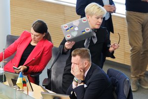 Konservatorių stovykloje – parako dvelksmas: atskleidė, kas dėjosi už uždarų durų, kai trūko G. Landsbergio kantrybė