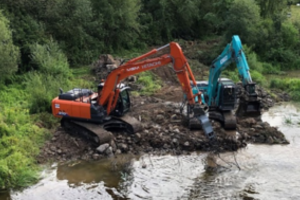 Pašalinus kliūtis, Dubysos upėje atvertas kelias migruojančioms lašišinėms žuvims