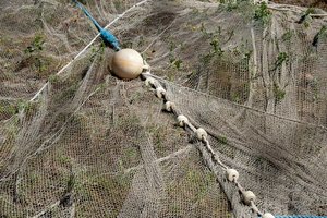 Aplinkosaugininkams įkliuvo gerai pažįstamas pažeidėjas: už tą patį pažeidimą baudžiamas jau 2-ą kartą per mėnesį