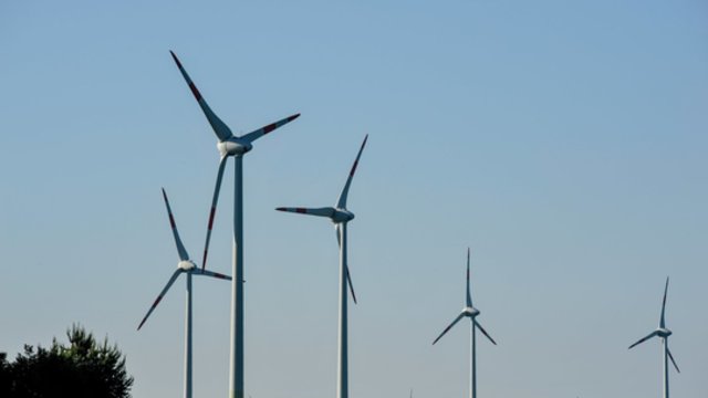 Telšių rajone atidarytas didžiausias vėjo elektrinių parkas Baltijos šalyse