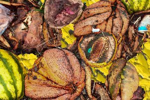 Lapkričio mėnesį Kaune prasidės Ukrainos meno trienalė „Ukraine! Unmuted!“