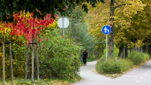 Šeštadienį dar galėsime pasidžiaugti geru oru: šils net iki 16 laipsnių