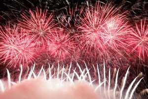 Londono naujametiniai fejerverkai vėl bus atviri minioms žmonių