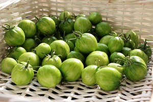 Išskynėte žalius pomidorus ir laukiate, kada sunoks? Yra lengvas būdas pagreitinti procesą