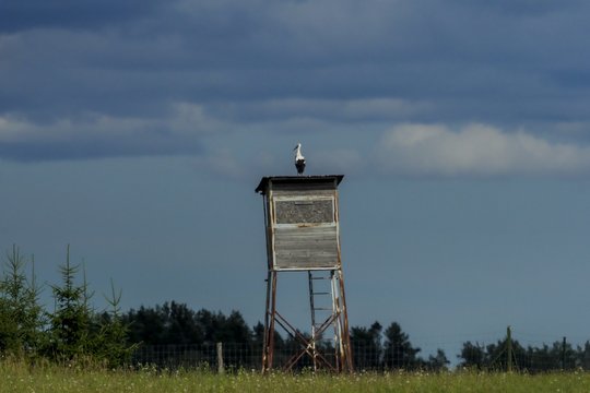 Kėdainių rajone medžiotojai rado sudegintą jų bokštelį