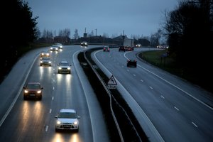 Paaiškino, ką daryti gatvėje partrenkus gyvūną arba pamačius avariją – ragina nepasimesti