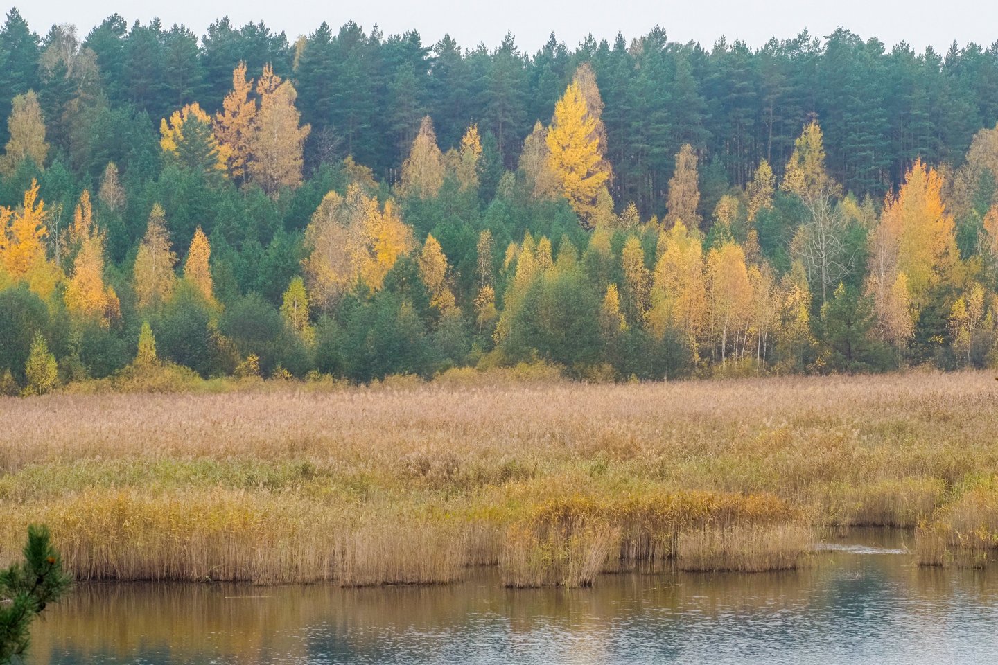 Sinoptikai skelbia – į Lietuvą plūstels šiluma: kai kur sušils iki 19 laipsnių.<br>V.Ščiavinsko nuotr.