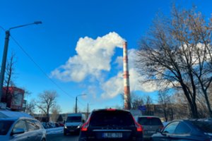 Niršta, kad dėl kompensacijos su savivaldybe bandė susisiekti tris dienas: net pas gydytoją greičiau užsiregistruosi