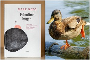 Kaip atrasti mažus malonumus sunkiais laikais