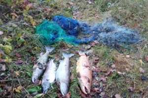 Nelegali žvejyba kainuos brangiai: už keturias lašišas teks susimokėti beveik 4 tūkst. eurų