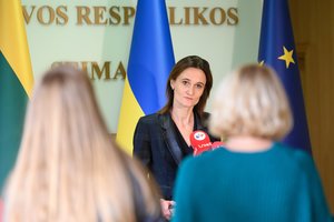 V. Čmilytė-Nielsen: Čečėnijos pripažinimo kausimo Lietuvos užsienio politikos darbotvarkėje nėra