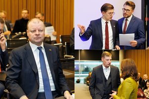 S. Skvernelio vadovaujama sąjunga „Vardan Lietuvos“ patvirtino kandidatus į merus