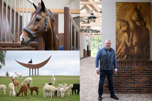 Tautvydo Barščio žirgyne saugomi arabų milijardierių kilmingi žirgai, o ūkyje ganosi alpakos, jaučiai, avys