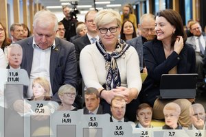 Rinkėjų dovana: prieš tai reitingams nusiritus į rekordines žemumas, nuotaikos netikėtai pasikeitė