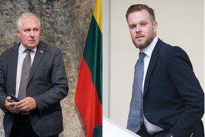 G. Landsbergis apie A. Anušauską: neabejoju, kad kritiką jis girdi