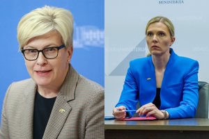 I. Šimonytės vertinimu, sprendimas dėl R. Pociaus buvo priimtas ne vienašališkai A. Bilotaitės, o visos Vyriausybės