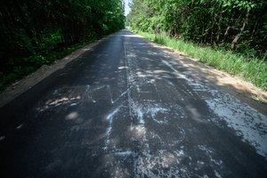 Užrašus ant kelio šalia S. Skvernelio namų padaręs vyras lieka išteisintas