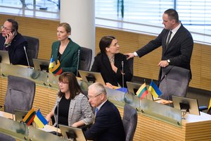 Konservatorių frakcijos seniūnė: M. Majauskas elgiasi negarbingai tiek verslo sektorių atžvilgiu, tiek ir Vyriausybės