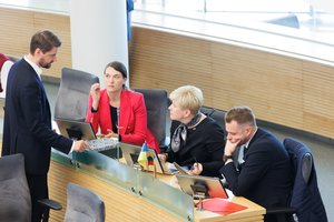 M. Majauskas: partinės drausmės poreikis atsiskleis galutinėse biudžeto priėmimo stadijose