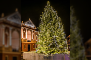 Klaipėdos eglutės pareigoms užimti – 20 kandidačių