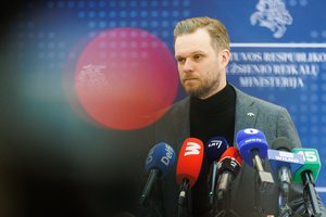 Po V. Rupšio pareiškimo – G. Landsbergio nuostaba: kodėl ši diskusija yra viešumoje