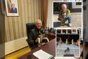 Iš subombarduoto Iziumo – į Lietuvos ambasadą Kijeve: išskirtinė reikšmingą vardą gavusios kalytės gelbėjimo istorija