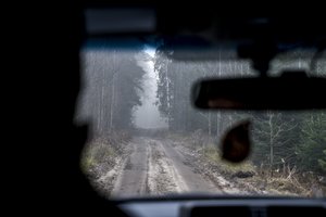 Lietuvos pasieniečiai per parą apgręžė 21 neteisėtą migrantą