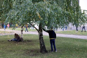 Naujos kartos – tie patys metodai: ar tikrai Alfa kartos moksleiviai turi mokytis kitaip?