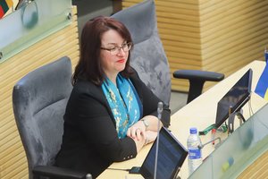 Seimo seniūnų sueiga nepritarė Migracijos komisijos sudarymui