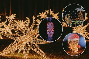 Vilniuje – unikalus šviesų instaliacijų parkas: vaizdai nepaliks abejingų