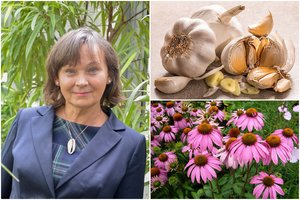 Profesorės patarimai kovai su kosuliu, uždegimais ir infekcijomis: padeda natūralios priemonės