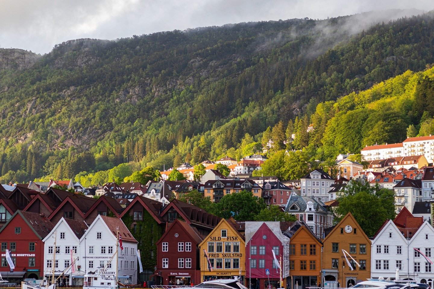 Norvegija.<br>Nico Franz/Pixabay.com nuotr.