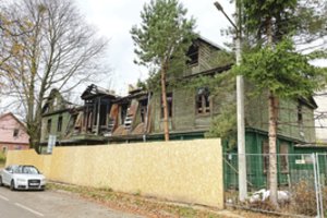 Griuvenomis virtę medinukai taps Žaliakalnio puošmena: vienu pasirūpins ir garsus krepšininkas 