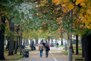 Paskutinis spalio savaitgalis lepins maloniais orais: temperatūra pasieks ir 16 laipsnių