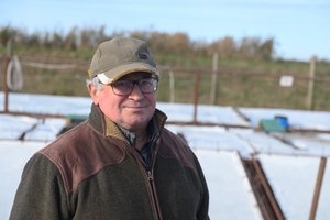 Profesionalus žuvų augintojas patarė, kaip atskirti gerą žuvį: vienas ženklas išduoda, ar ją verta pirkti