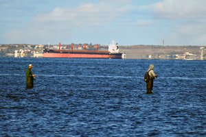 Rusijai sustabdžius dalyvavimą susitarime, sustojo Ukrainos grūdų eksportas laivais