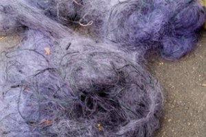 Varėnos rajone nustatytas pažeidėjas su 500 metrų tinklų