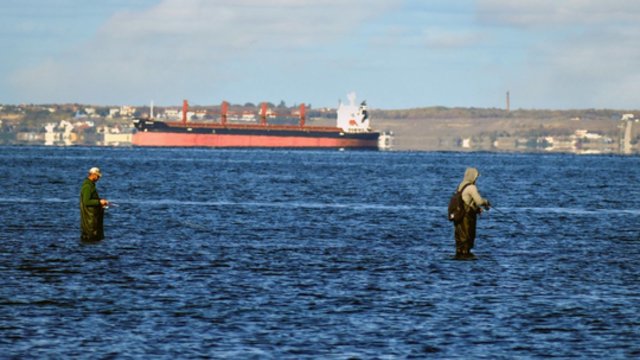 Rusijai sustabdžius susitarimą dėl grūdų eksporto iš Ukrainos, JT skelbia: laivai toliau plauks