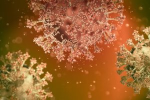 Pažinti priešą: 12 pačių mirtiniausių naujųjų laikų virusų