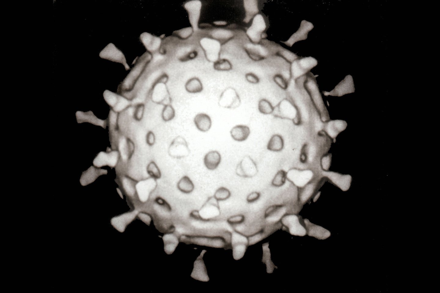  Kompiuterin4 rotaviruso rekonstrukcija, sukurta pagal kelias elektronines mikrofotografijas.<br> Wikimedia commons