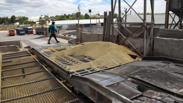 Politologas apie Rusijos paskelbtą neribotą grūdų eksporto susitarimo stabdymą: tai savotiškas šantažas