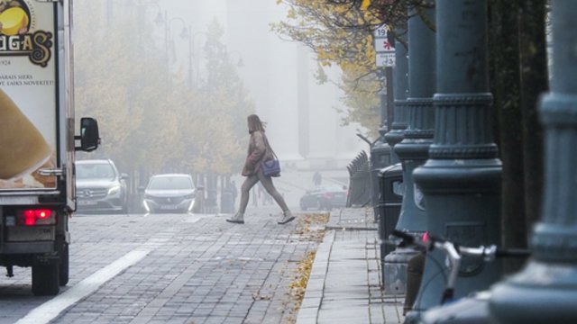 Orai išliks niūrūs: vis dažniau numatomos šalnos