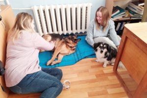 6-ąjį gimtadienį švenčianti „Pifo“ klinikėlė – ant bedugnės krašto