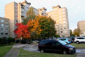 T. Povilauskas: kylančios palūkanos kitąmet bus vienas esminių dalykų ekonomikoje