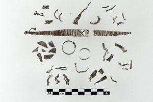 Didžiulė sėkmė: surado sidabro lobį